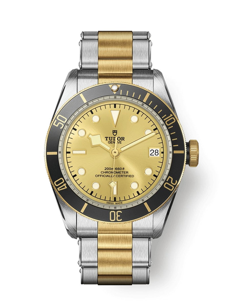 Tudor 79733N-0004 Blackbay- Aristo Watch & Jewellery