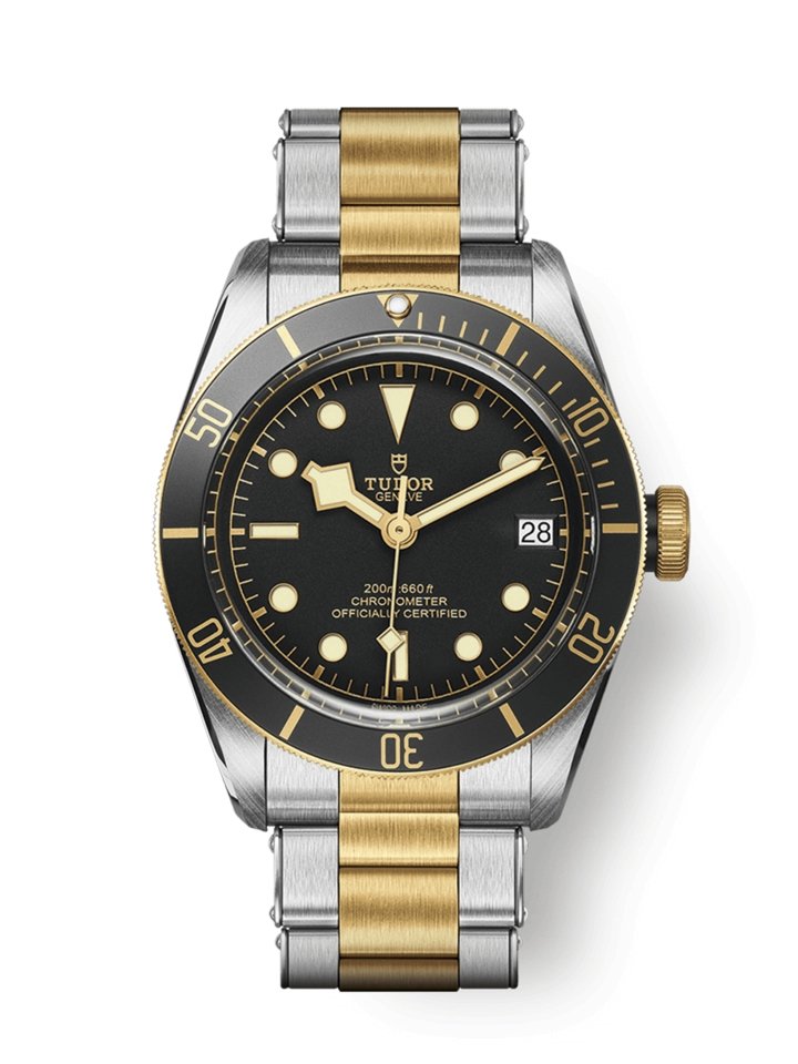 Tudor 79733N-0008 Blackbay- Aristo Watch & Jewellery